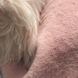 Meet your Posher, Rosa